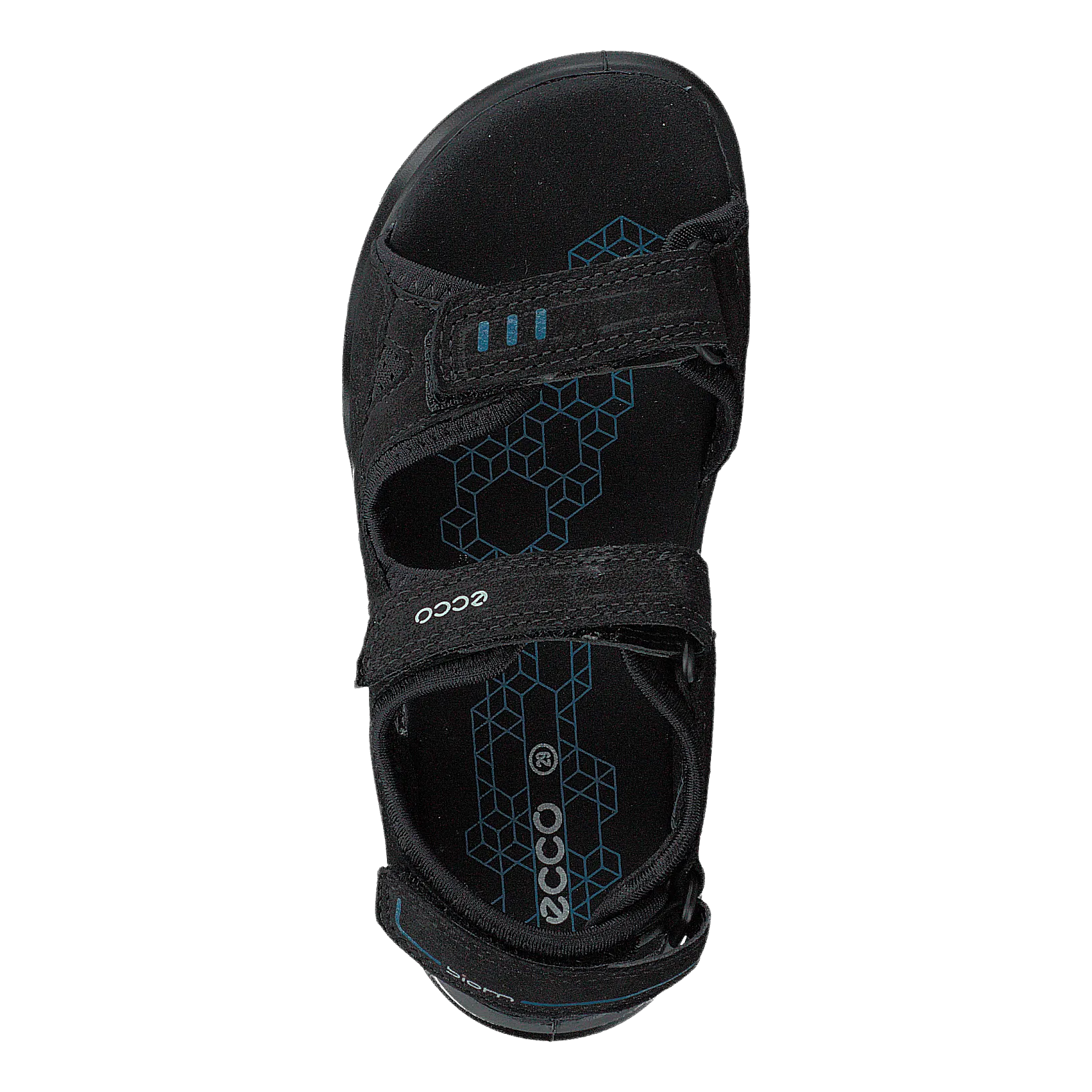 Biom Raft Black